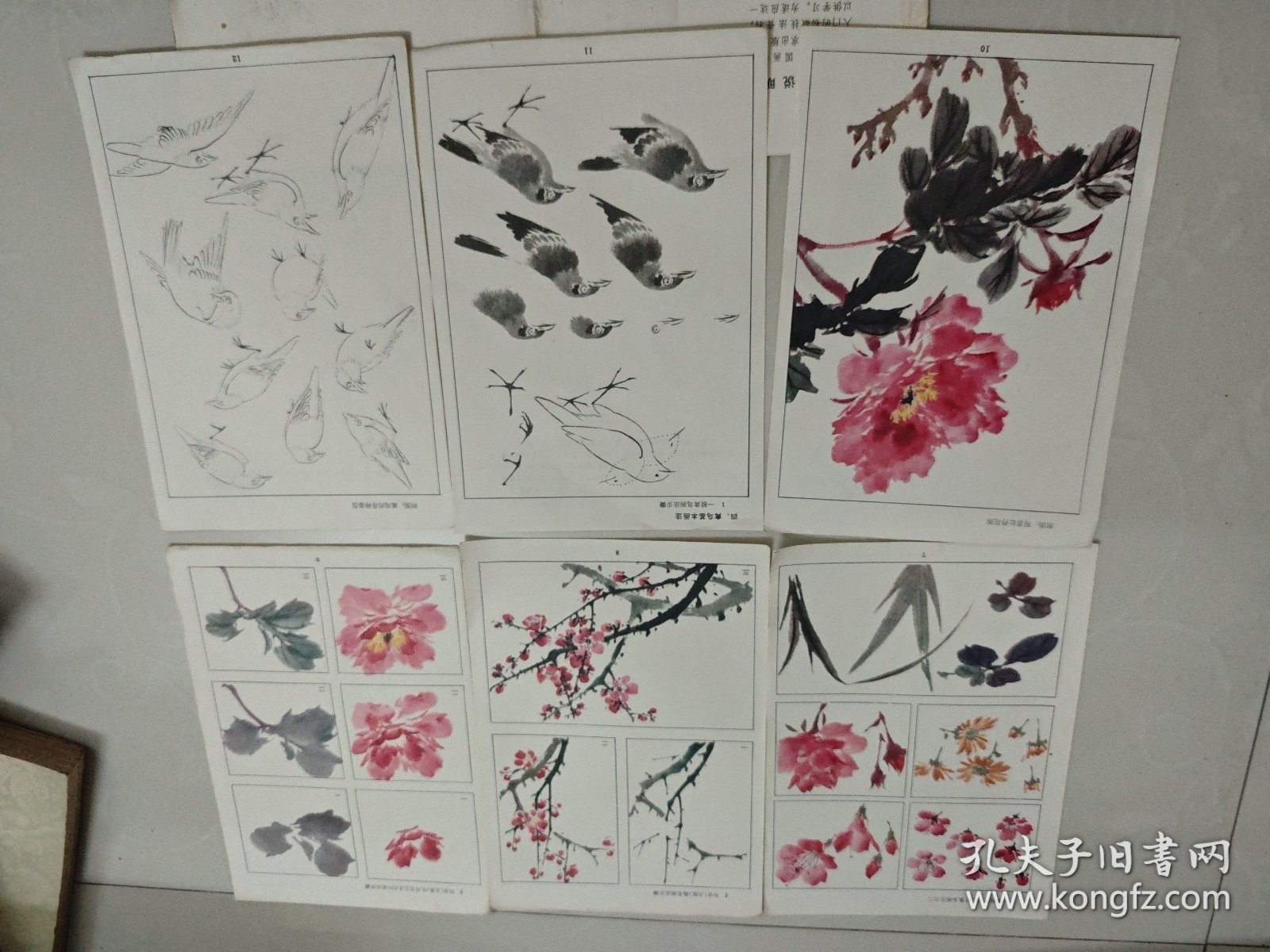 花鸟草虫画法入门 活页20页