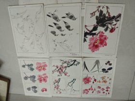 花鸟草虫画法入门 活页20页