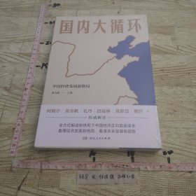 国内大循环(何毅亭、黄奇帆、孔丹、迟福林、姚洋、黄群慧等撰文)