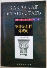 (世界文学名著)钢铁是怎样炼成的(1999年一版一印)