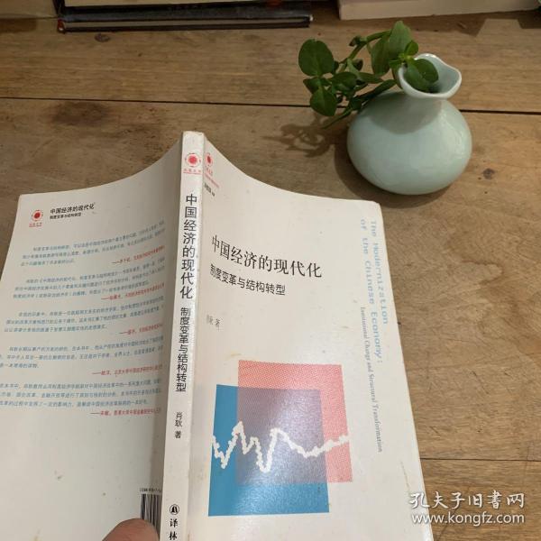 中国经济的现代化：制度变革与结构转型