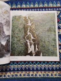 杨杰辉画集（杨杰辉毛笔签赠本）