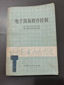 电子简易程序控制