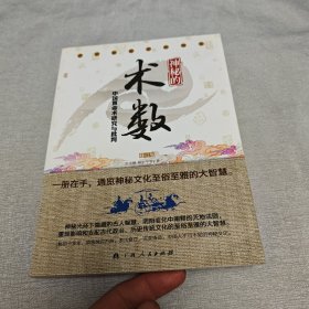 神秘的术数：中国算命术研究与批判