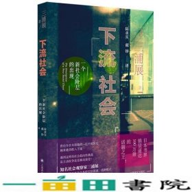 下流社会：一个新社会阶层的出现