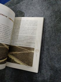 《风雨茶路：谌小丰和百年茶号晋丰厚》