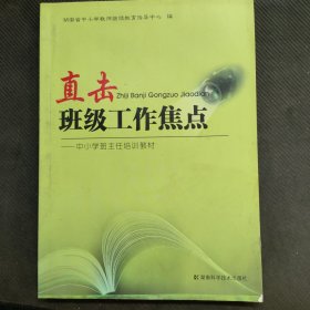 直击班级工作焦点 : 中小学班主任培训教程