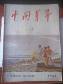 1960-中国青年  第14期