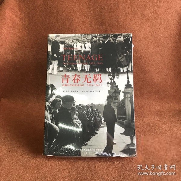 青春无羁：狂飙时代的社会运动（1875-1945）