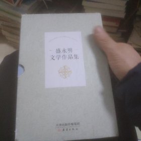 盛永明文学作品集1一5(盒装)