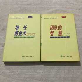 增长炼金术：企业启动和持续增长之秘诀、团队的智慧（2本合售