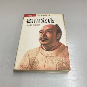 德川家康（第六部）：双雄罢兵