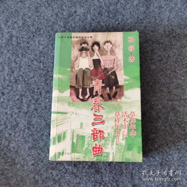 草样年华Ⅱ：后大学时代