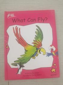 What Can Fly