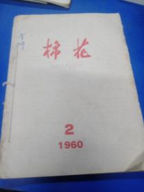 棉花1960（2-6）300433