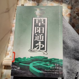 阜阳通史