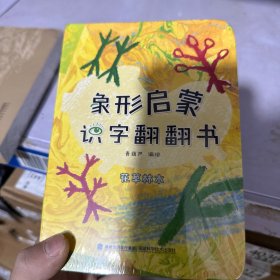 象形启蒙识字翻翻书(全4册)