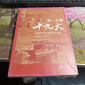 从一大到十九大：中国共产党全国代表大会史 封面有轻微变色如图