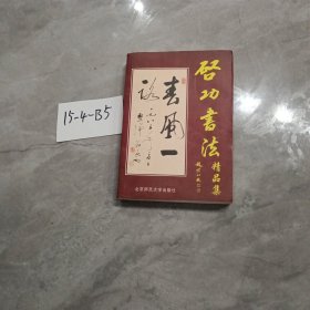 启功书画集