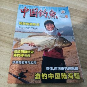 中国钓鱼2010/6总第239期