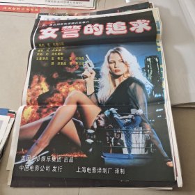 女警的追求电影海报二开