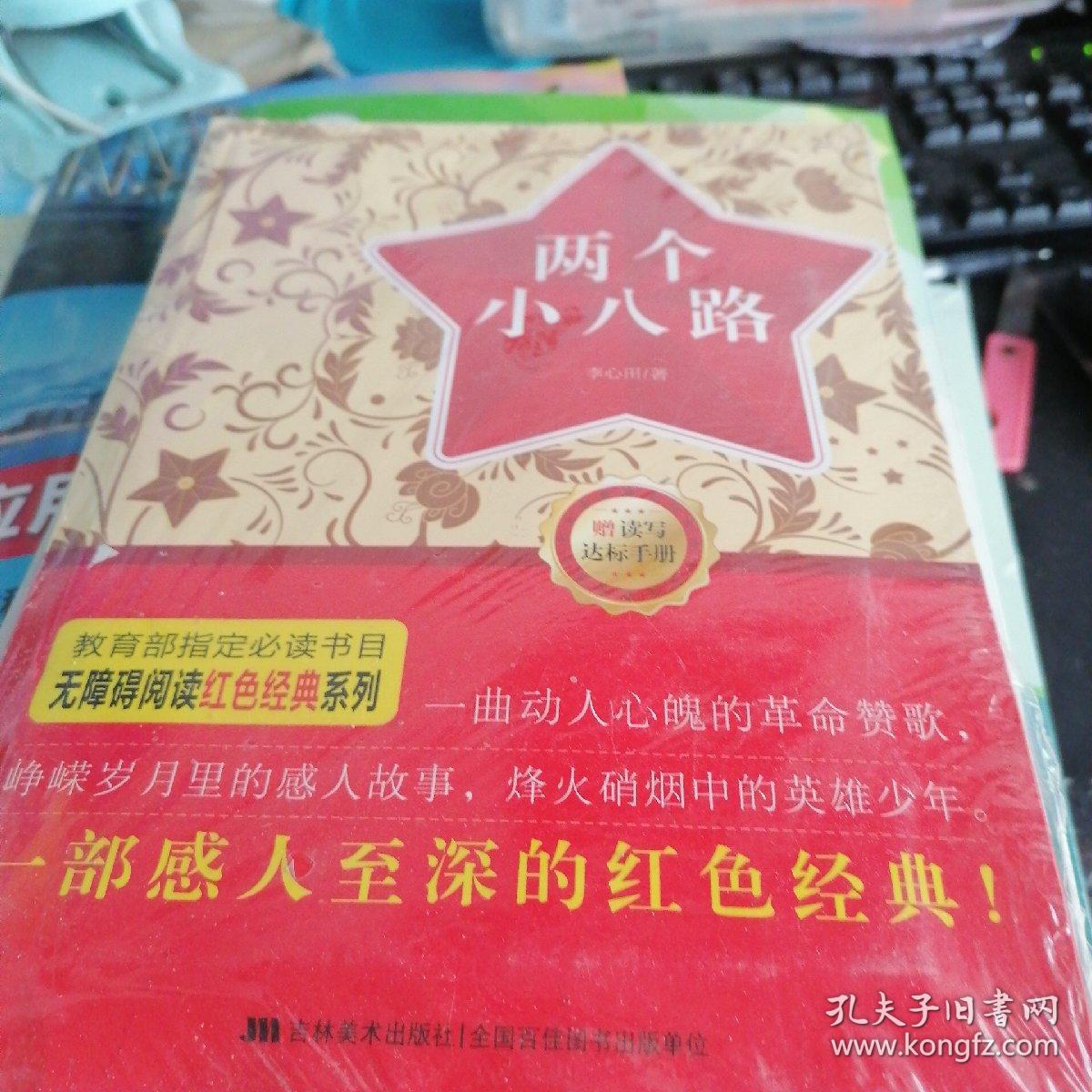 无障碍阅读丛书：红色经典特辑-两个小八路