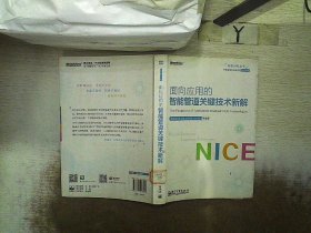 转型时代丛书：面向应用的智能管道关键技术新解