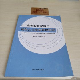 高等教育视域下高校人力资源管理研究