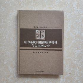 电力系统自组织临界特性与大电网安全