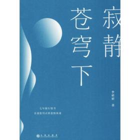 寂静苍穹下 散文 李初初 新华正版