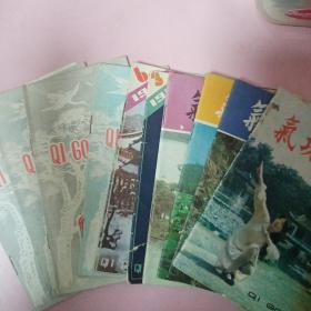 气功杂志（1981年1.2.4期，1982年1期，1983年3.6期，1984年2.4.5期，1985年5期）