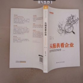 从报表看企业——数字背后的秘密（第二版）