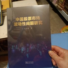 中国股票市场波动性问题研究