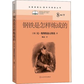 钢铁是怎样炼成的-名著课程化·整本书阅读丛书 外国文学名著读物 (苏)尼·奥斯特洛夫斯基|译者:梅益
