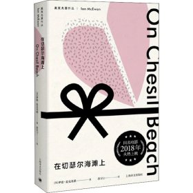 在切瑟尔海滩上