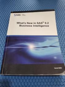 What ' s New in SAS 9.2 Business Intelligence