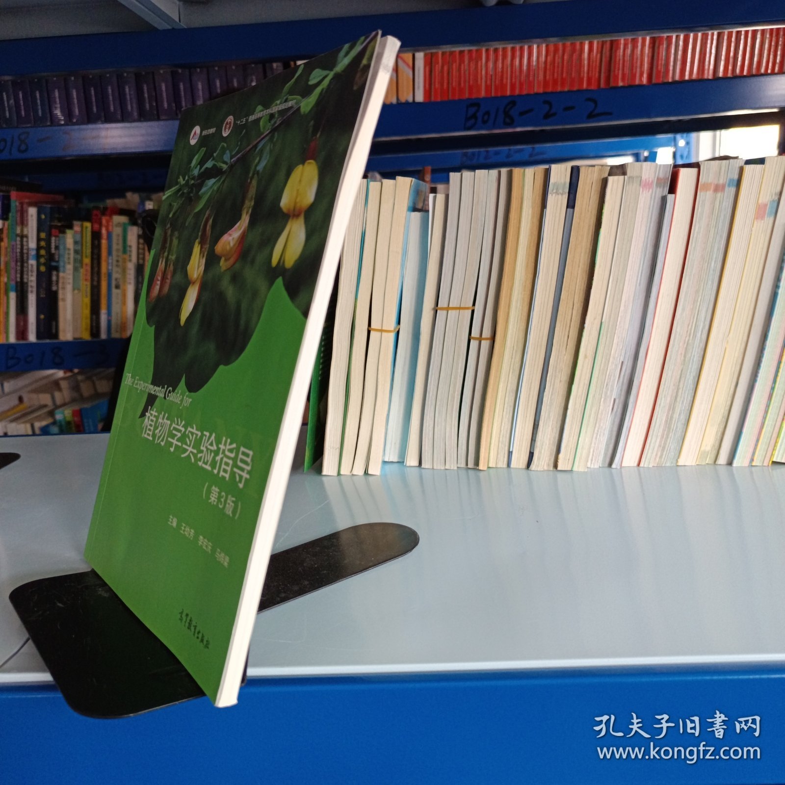 植物学实验指导（ 第3版 ）