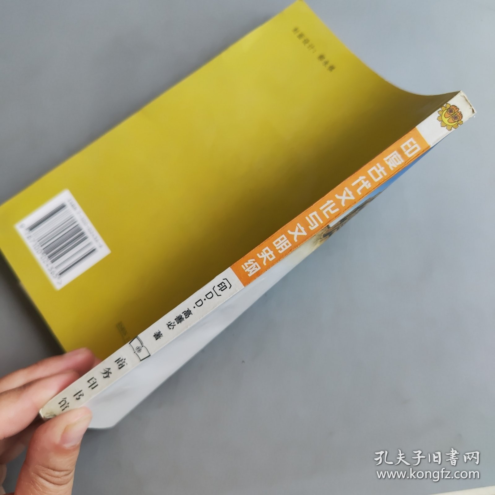 印度古代文化与文明史纲