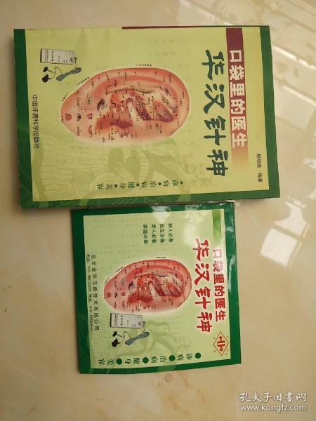 华汉针神（附:光盘2张)