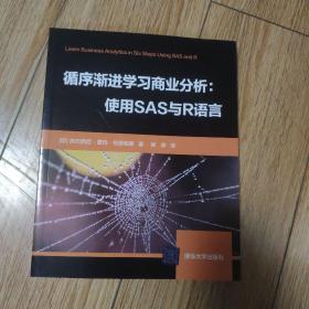 循序渐进学习商业分析：使用SAS与R语言