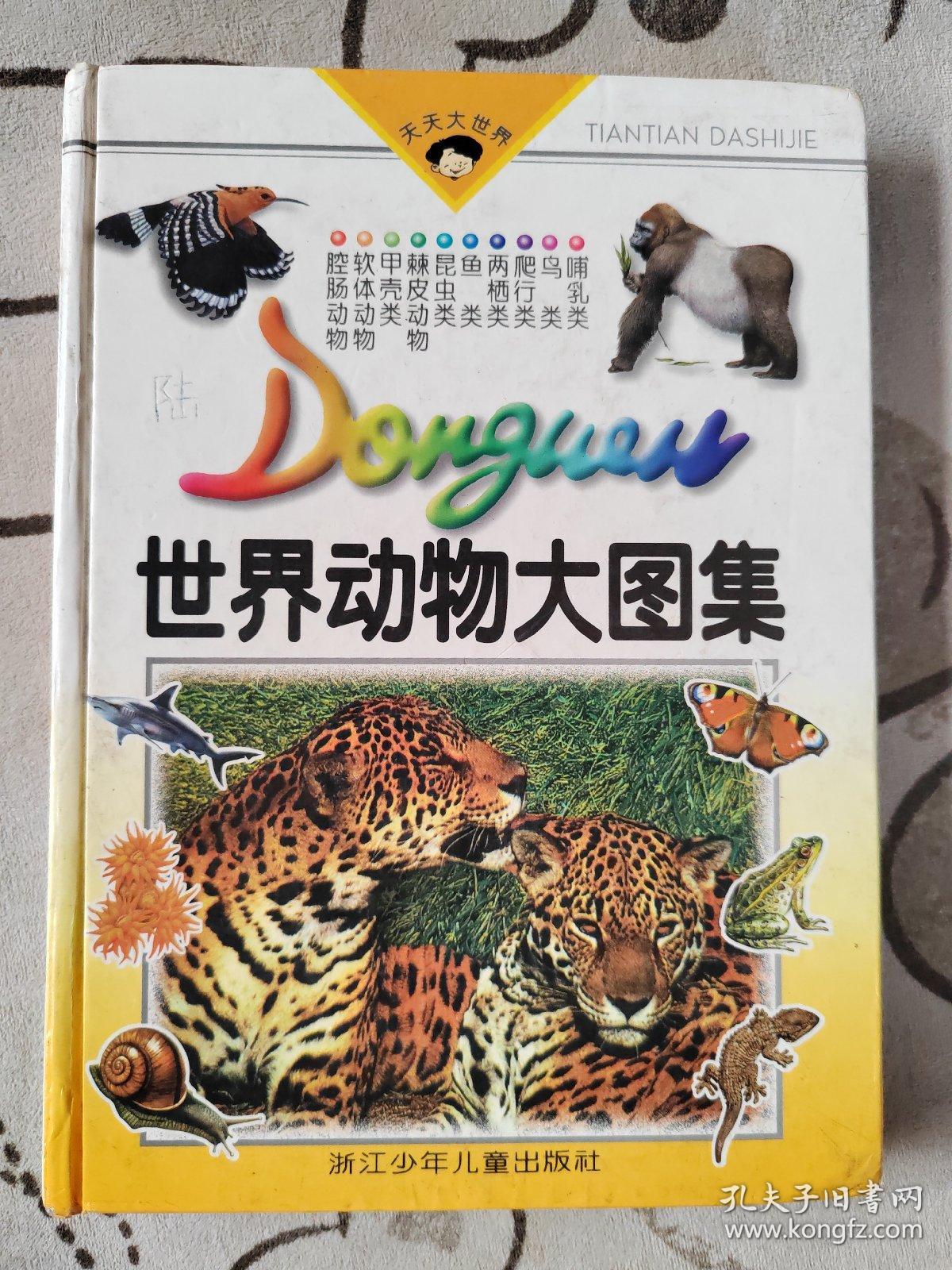 世界动物大图集