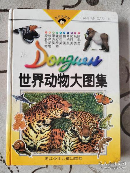 世界动物大图集