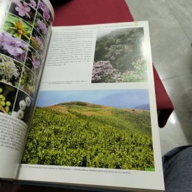 中国井冈山地区原色植物图谱