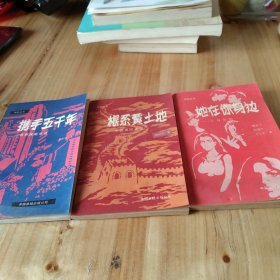保险丛书 :携手五千年、根系黄土地、她在你身边