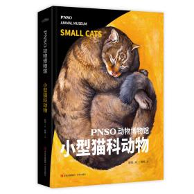 PNSO动物博物馆：小型猫科动物（把博物馆带回家，纸上iMax体验）