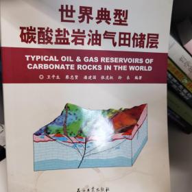 世界典型碳酸鹽巖油氣田儲(chǔ)層