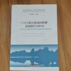 中国少数民族地区经济发展报告（2014）：集中连片特困民族地区的区域发展与扶贫攻坚