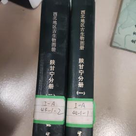 西北地区古生物图册  陕甘宁分册 一、二册