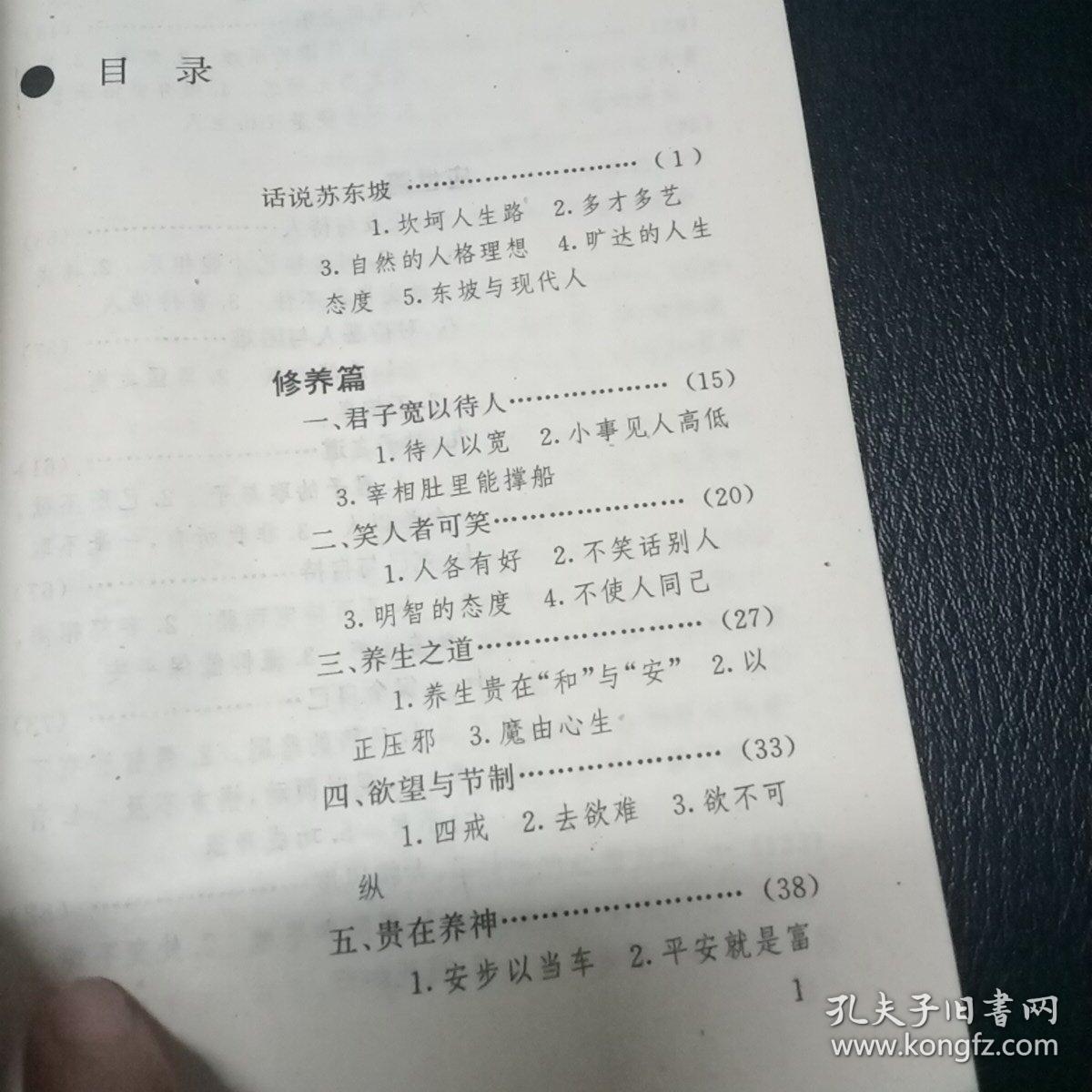 苏东坡 旷达人生