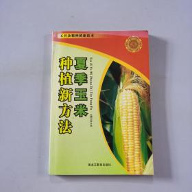 夏季玉米种植新方法